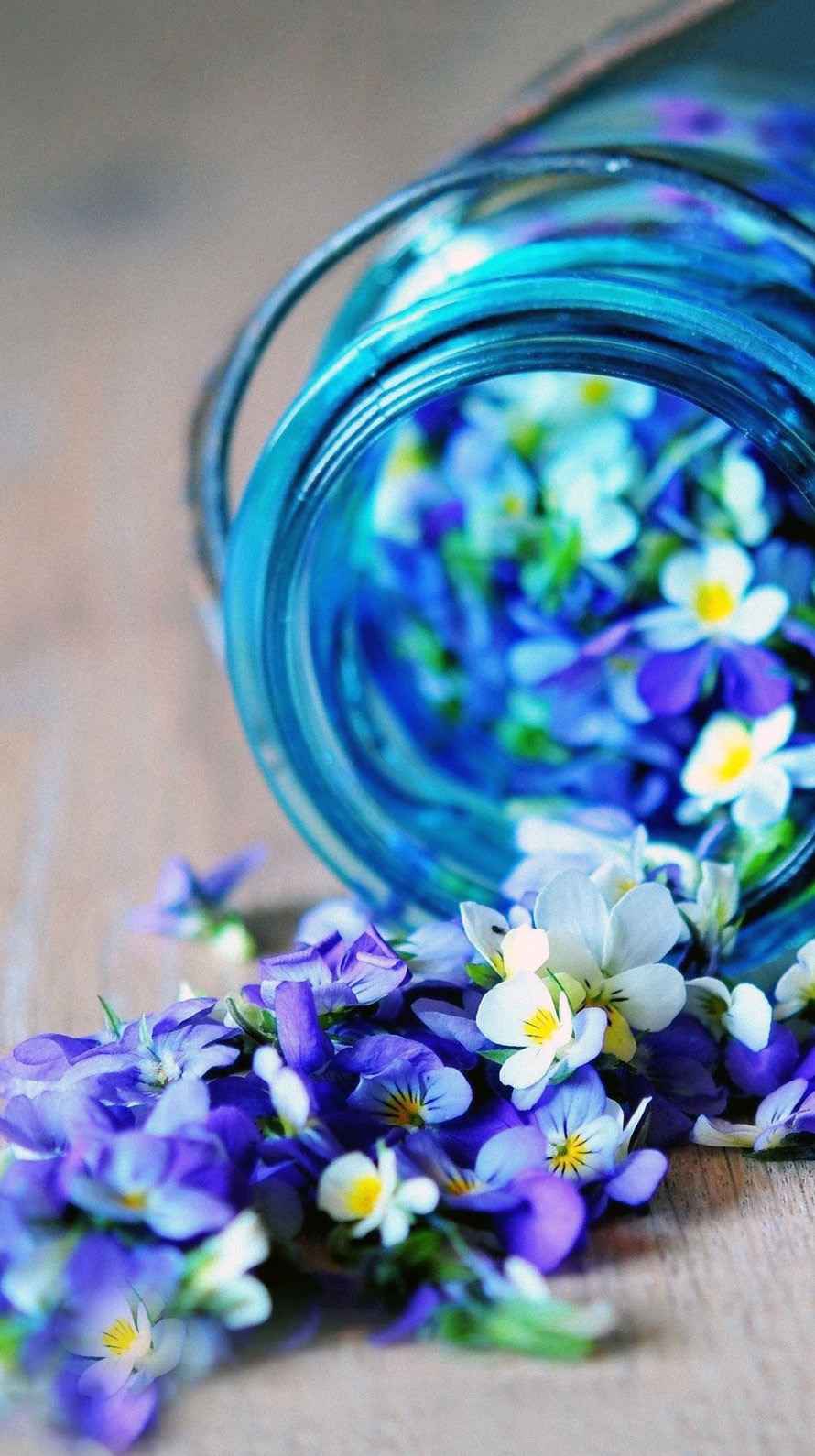 感性美ライフデザイナー × 内面美コーディネーター／林詠子（白香結）